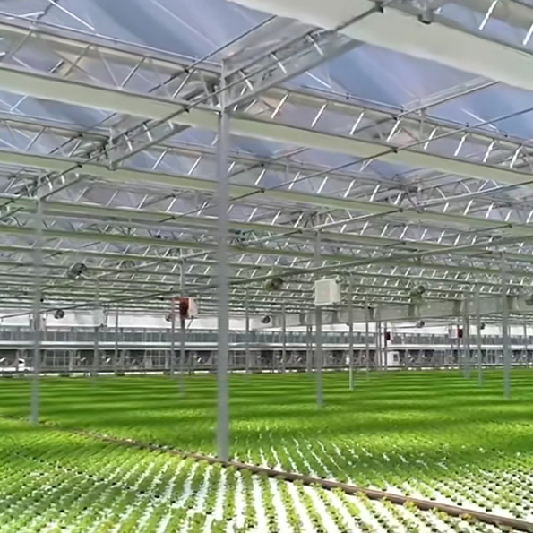Vegetable planting factory